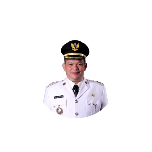 goverment-profile