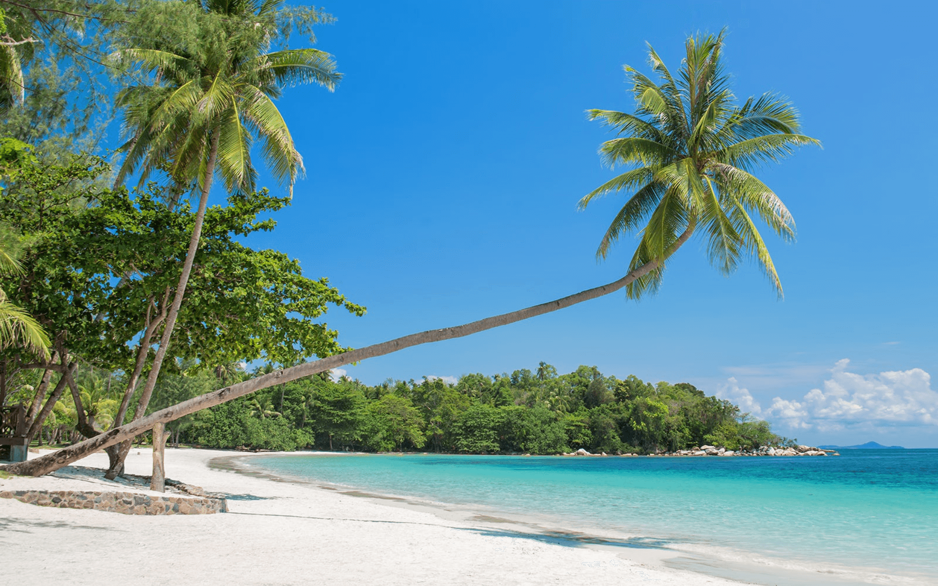 store-1